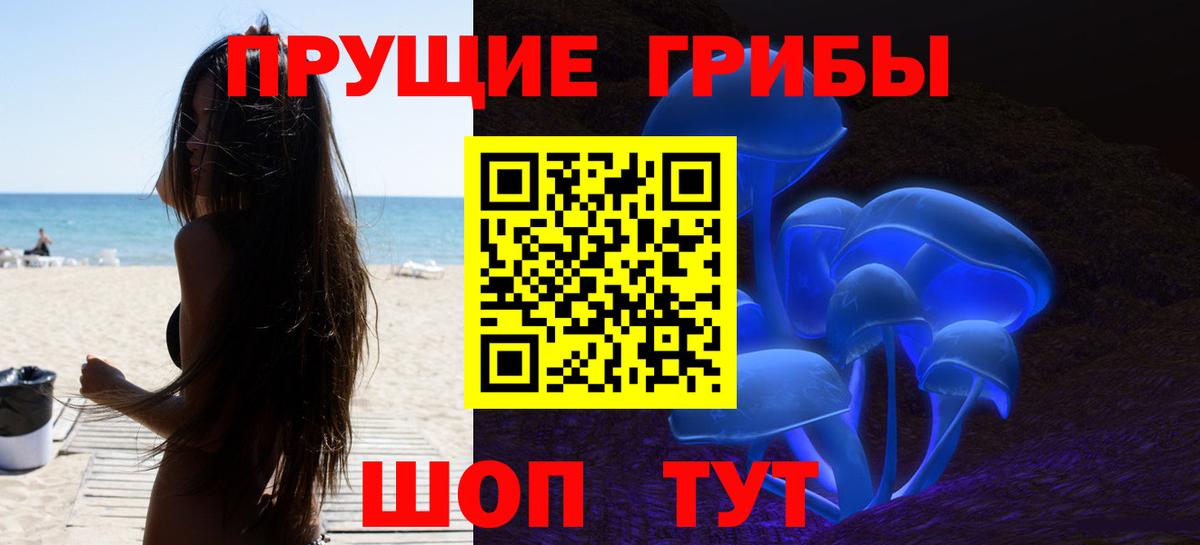Галлюциногенные грибы Psilocybe Джанкой